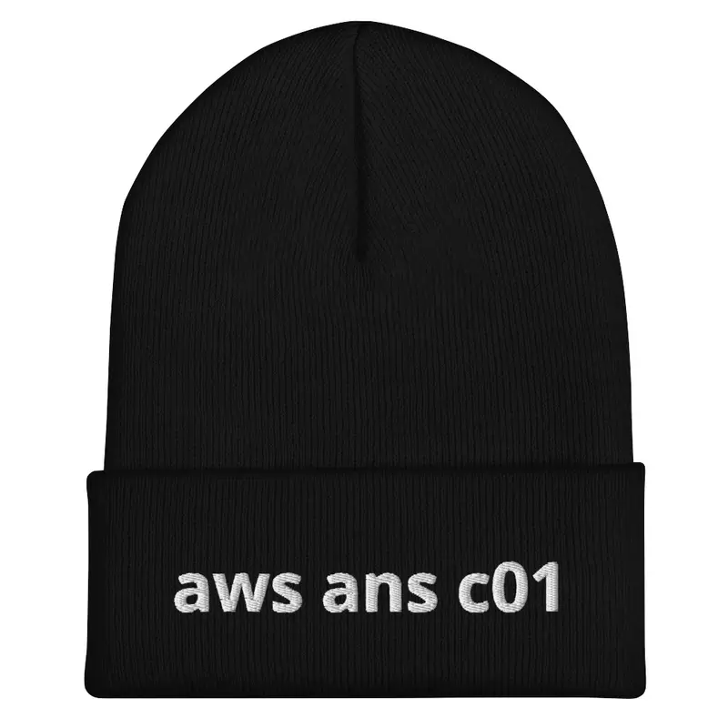 aws ans c01